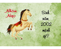 Sinh năm 2002 mệnh gì, cung gì? Tử vi tuổi Nhâm Ngọ năm 2024
