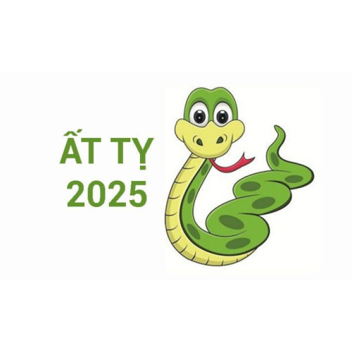 Ất Tỵ sinh năm 2025 mệnh gì, tuổi con gì, hợp màu sắc nào