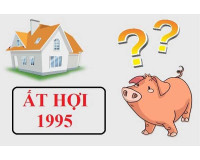Sinh năm 1995 hợp hướng nào? Hướng nhà đẹp tuổi Ất Hợi