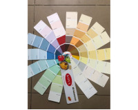 Một số điều bạn cần biết về bảng màu sơn Kova trong nhà