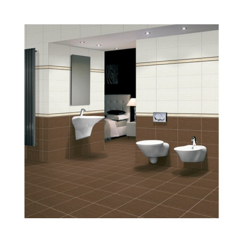 Tìm hiểu về mẫu gạch ốp nhà vệ sinh 30x60 Viglacera