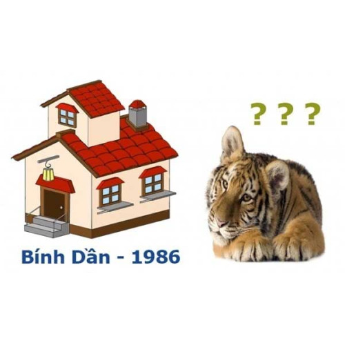 Sinh năm 1986 hợp hướng nào nhất? Hướng nhà tuổi Bính Dần