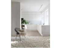 Sơn nhà màu trắng sứ - Xu hướng kiến trúc mới nhất năm 2024