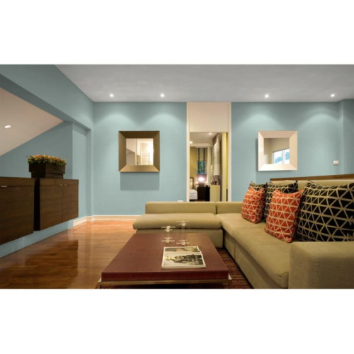 Sơn tường nhà màu gì đẹp? Tư vấn những mẫu sơn tường nhà đẹp