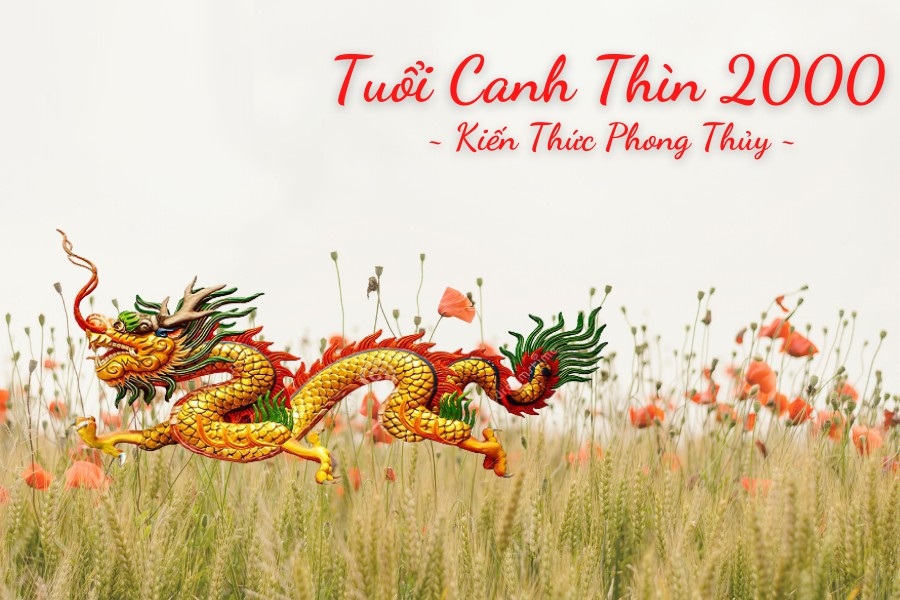 x Sinh năm 2000 thuộc cung gì