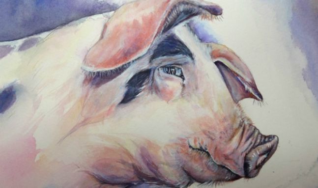 tử vi tuổi ất hợi