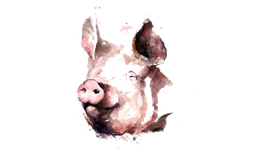 Người sinh vào năm 1947 và những màu sắc tương hợp – tương khắc 