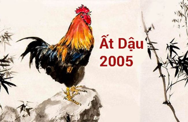 Người sinh năm 2005 tuổi gì