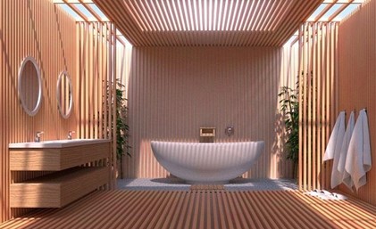 phối cảnh đẹp mắt của nhà vệ sinh nhật 