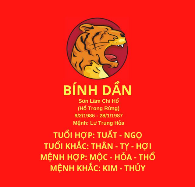 x tử vi tuổi bính dần