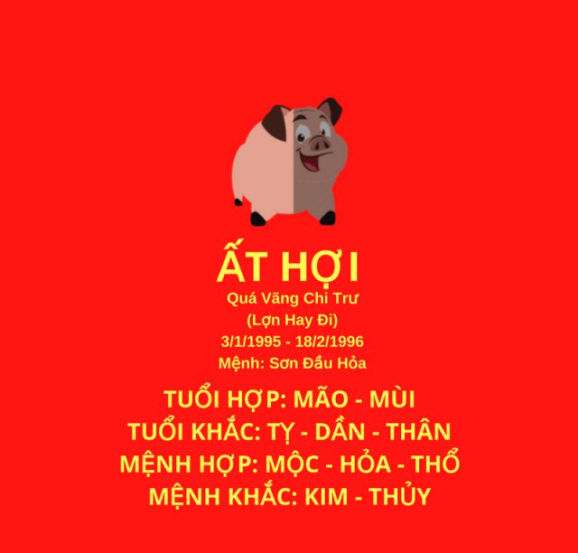 x sơ lược về người sinh năm 1995