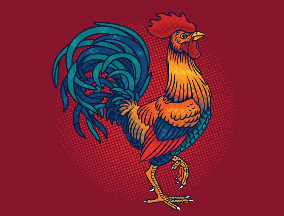 x người sinh năm quý dậu