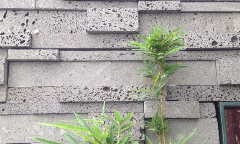 Tổng quan cần biết về gạch tổ ong ốp tường