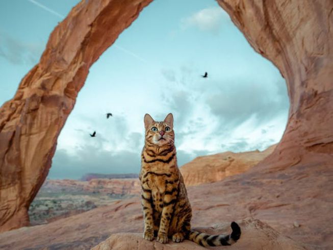 x sinh năm 1999 tuổi con gì