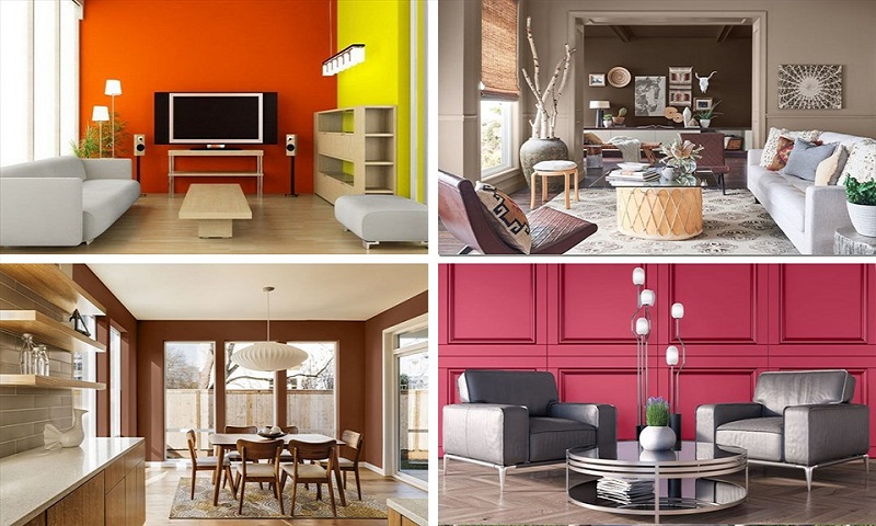 Phối màu sơn tương phản với các màu sơn cam, hồng, vàng,...