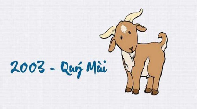 x Sinh năm 2003 tuổi gì