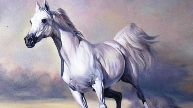 x tử vi tuổi canh ngọ