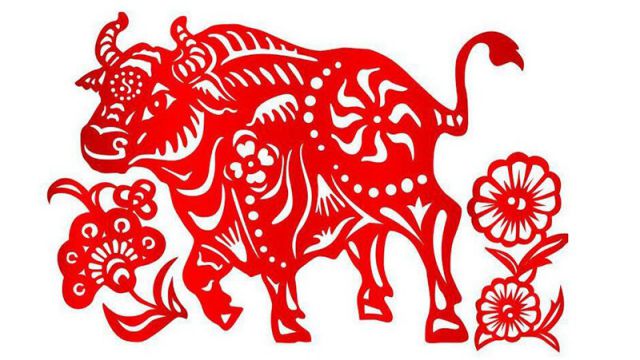 sinh năm 1997 cầm tinh con gì 