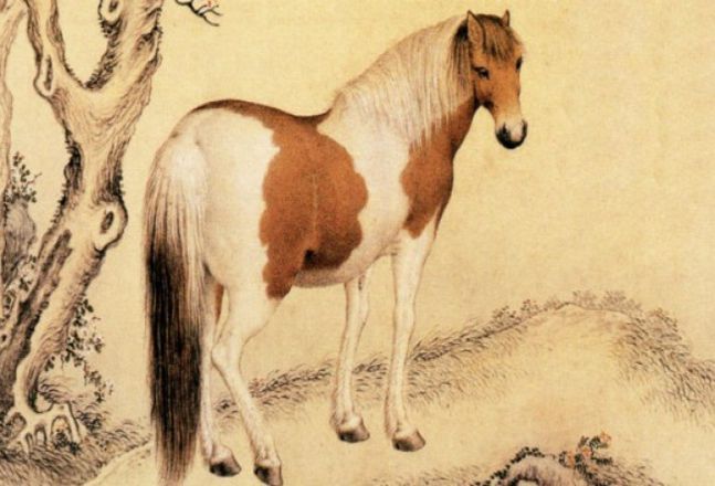 x Tuổi canh ngọ 1930