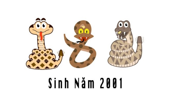 x Tư liệu tử vi trọn đời của người sinh năm 2001