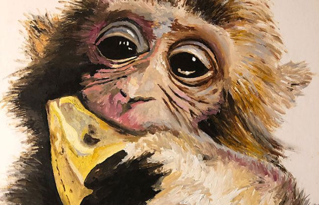 Tổng quan cuộc đời người sinh năm 2028